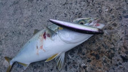 早朝短時間勝負！！！