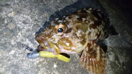 久しぶりのナイトゲーム