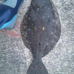 初の50センチ越え