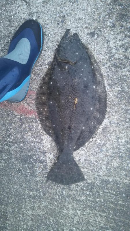 初の50センチ越え