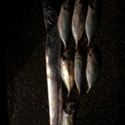 武庫一ワインド