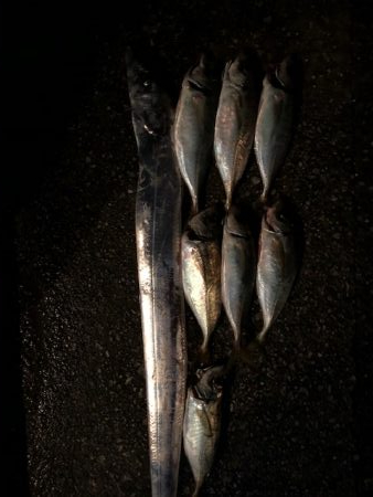 武庫一ワインド