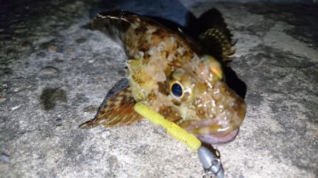 久しぶりのナイトゲーム