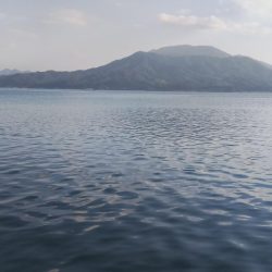 午後からちょこっとエギング