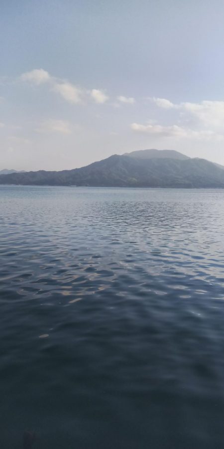 午後からちょこっとエギング