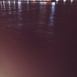 湾奥タチウオ調査