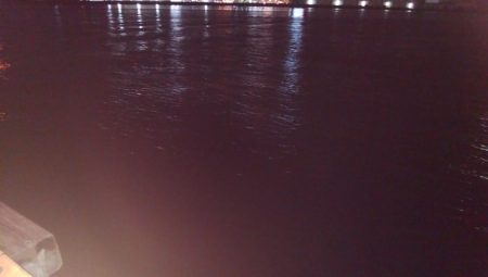 湾奥タチウオ調査