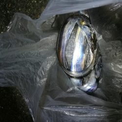 南港釣行 (10/28 南港タチウオ釣り 2本 釣果有り)