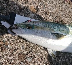 まあまあな結果