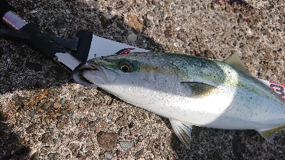 まあまあな結果