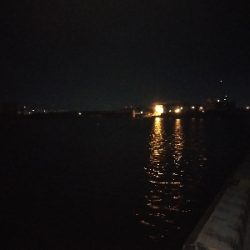 太刀魚回遊開始？