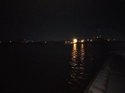 太刀魚回遊開始？