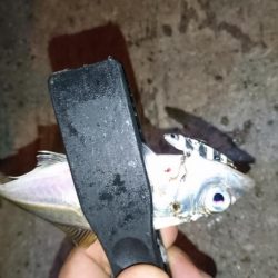 メタルアジング？！