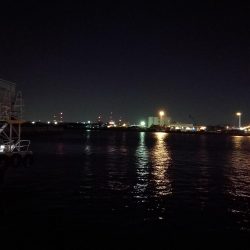 南港釣行 (10/28 南港タチウオ釣り 2本 釣果有り)