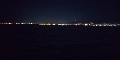 本日活性は低かったです