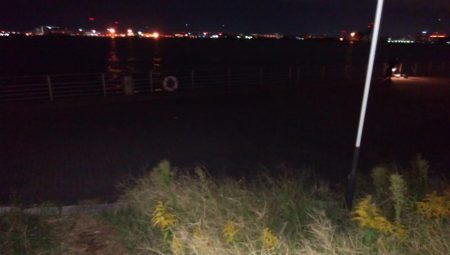 アジングでの釣果