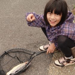 フィッシングレイクたかみや 釣果