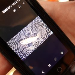 フィッシングレイクたかみや 釣果