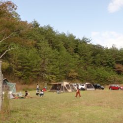 フィッシングレイクたかみや 釣果