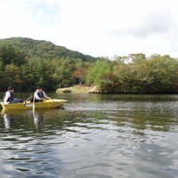 フィッシングレイクたかみや 釣果