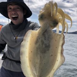 Magic（マジック） 釣果