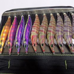 フィッシングボート空風(そらかぜ) 釣果