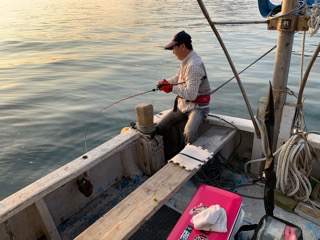 幸吉丸 釣果