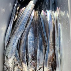 さんさん丸 釣果