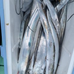 さんさん丸 釣果