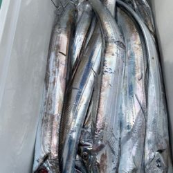 さんさん丸 釣果