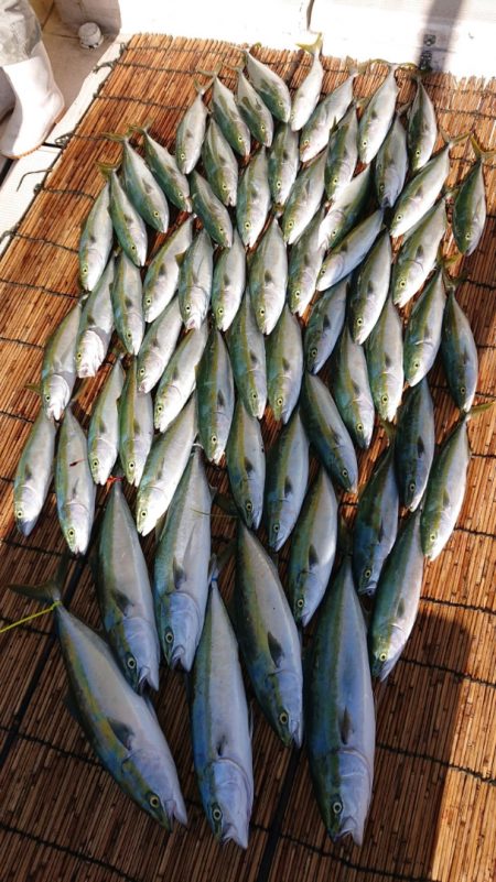 釣人家 釣果