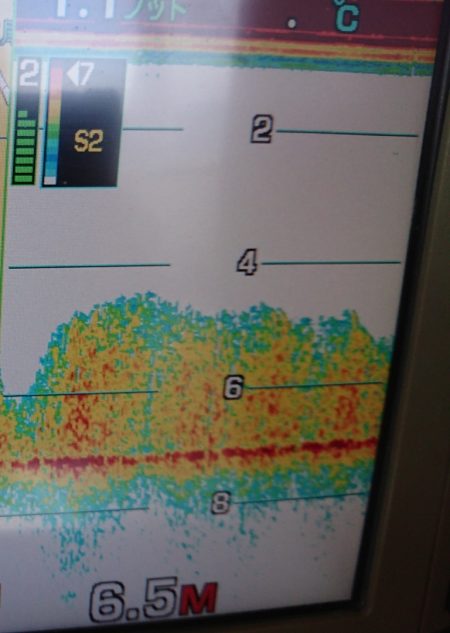 FISHING RISKY 釣果