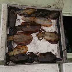 FISHING RISKY 釣果