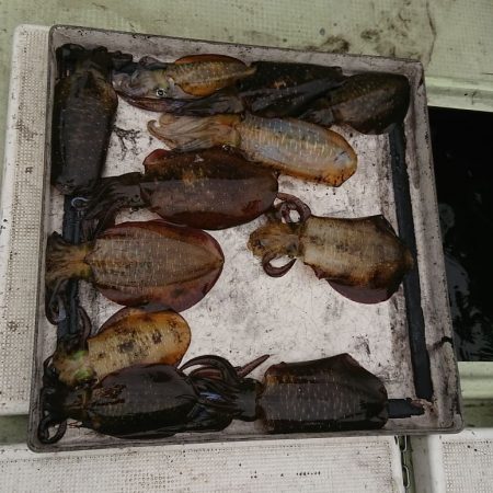 FISHING RISKY 釣果