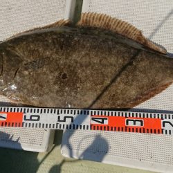 FISHING RISKY 釣果