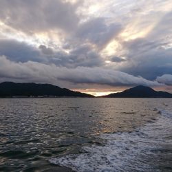 FISHING RISKY 釣果