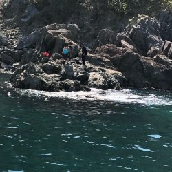 あみや渡船 釣果