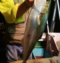 松福丸 釣果