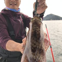 Magic(マジック) 釣果