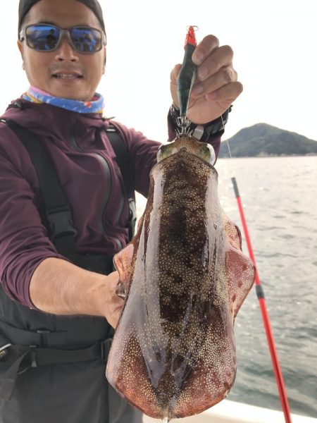 Magic(マジック) 釣果