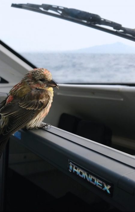 IDATEN（イダテン） 釣果