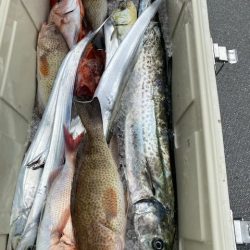 へいみつ丸 釣果