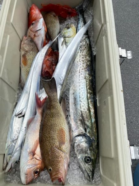 へいみつ丸 釣果