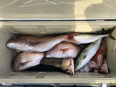 sea boss　シーボス 釣果