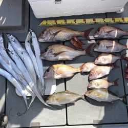 sea boss シーボス 釣果