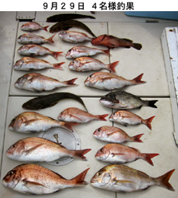 来温丸（らいおんまる） 釣果