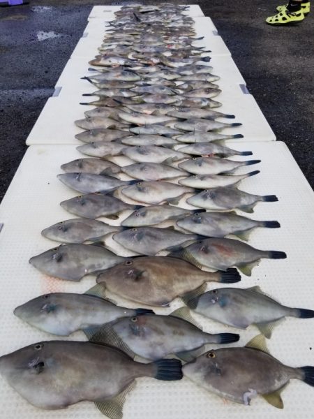 オーフリー 釣果