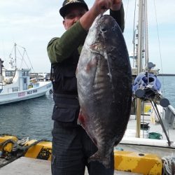 千代丸 釣果