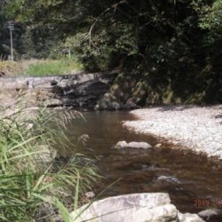 大井川（大井川(非)漁業協同組合） 釣果