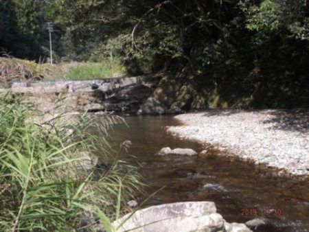 大井川（大井川(非)漁業協同組合） 釣果